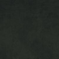 Buffalo 031