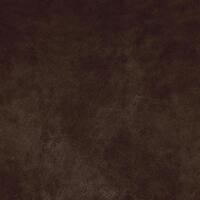 Buffalo 044