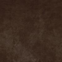 Buffalo 043