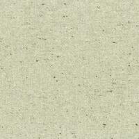 Cotton 01